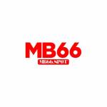 MB66 Profile Picture