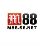 M88 SE Profile Picture