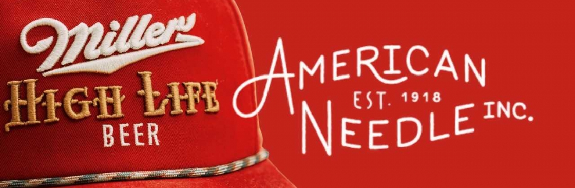 American Needle Cover Image