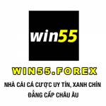 Win55 Forex Profile Picture