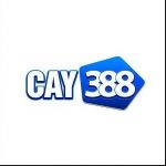 Nhà Cái CAY388 Profile Picture