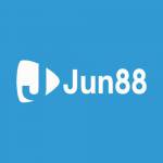 Jun88 Itcom Profile Picture