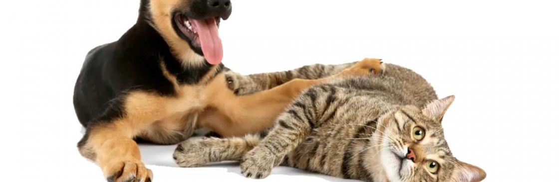 Lincoln Ave Cat  Dog Hospital Cover Image