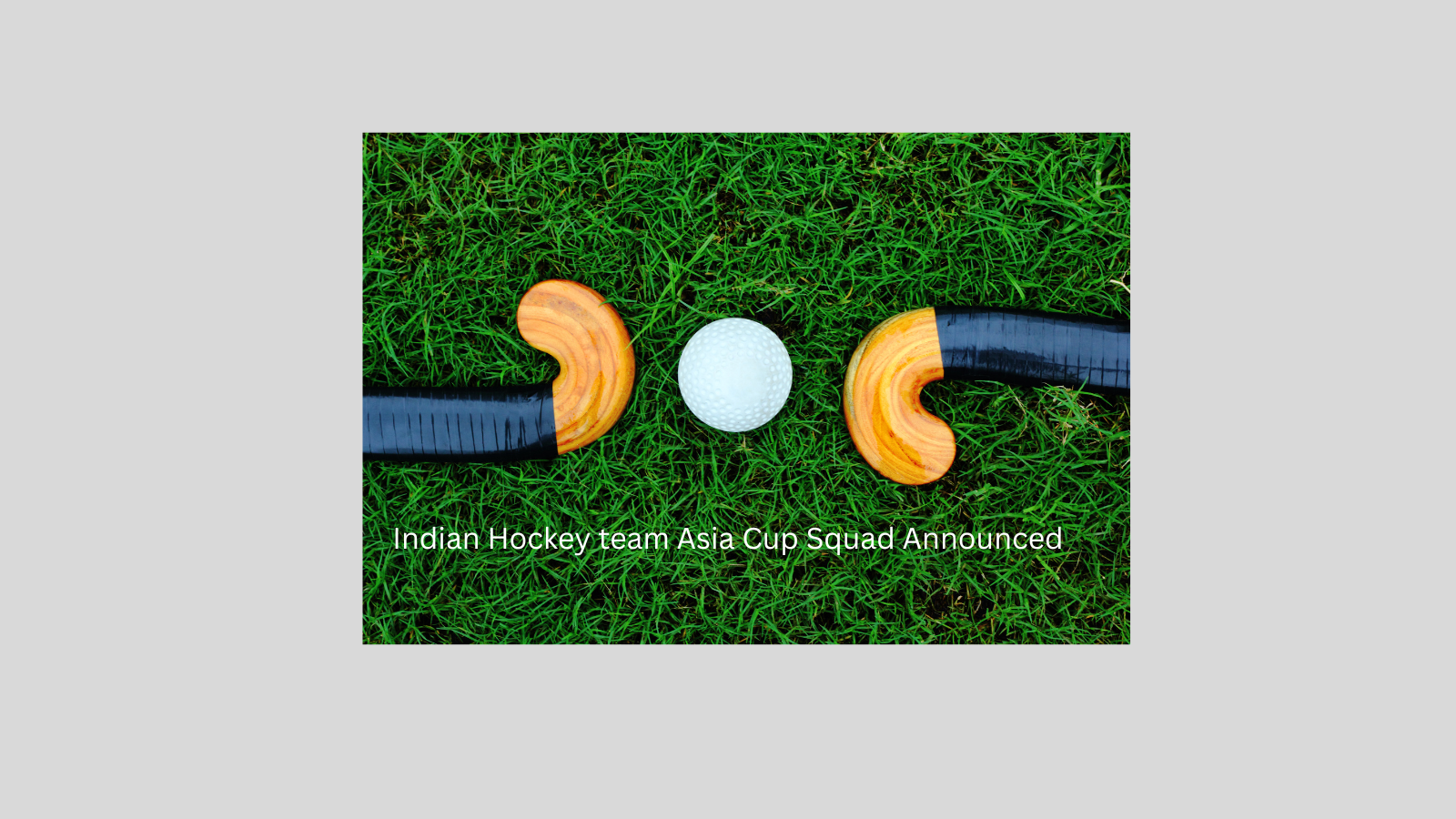 Indian Hockey team Asia Cup Squad Announced - Gifyu