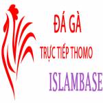 Đá Gà Trực Tiếp Thomo Profile Picture