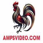 ĐÁ GÀ TRỰC TIẾP THOMO Profile Picture