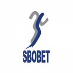 Sbobet casa Profile Picture