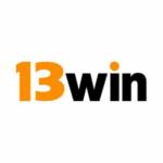13WIN Profile Picture