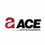 Ace Group India Profile Picture