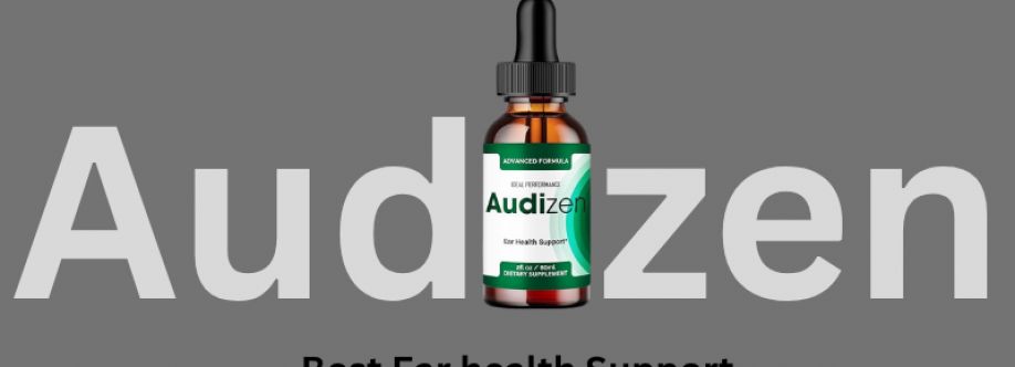 Audi Zen Cover Image