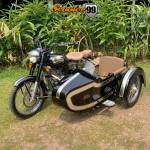 scooter99 Profile Picture