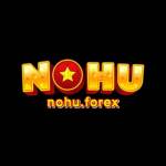 NOHU FOREX Profile Picture