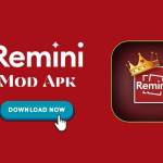 remini apk Profile Picture