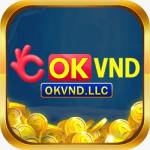 Okvnd llc Profile Picture