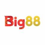 BIG88 Profile Picture