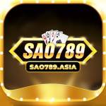 SAO789 Profile Picture