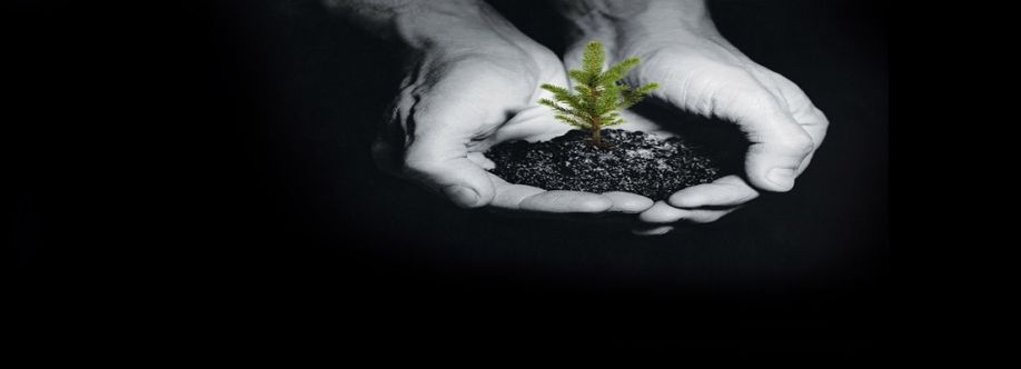 Stonecreek Wealth Advisors Cover Image