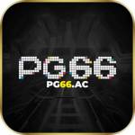 Pg66 Ac Profile Picture