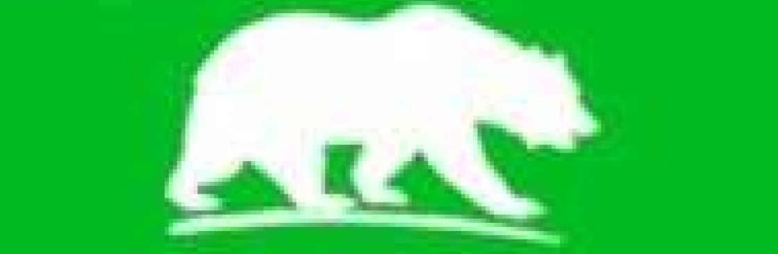 Bear Tours Alaska Wilderness Cover Image