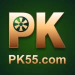 pk55 game Profile Picture