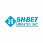 SHBET Cổng Game Cá Cược Profile Picture