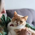 peter moose Profile Picture