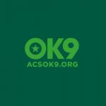 OK9 Profile Picture