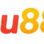 Lu88 fm Profile Picture
