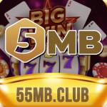 55Mb club Profile Picture