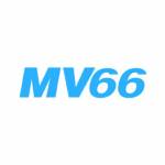 MV66 Profile Picture