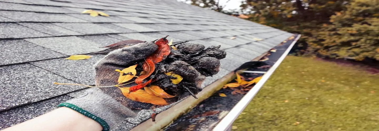 Regal Gutter Cleaning Geelong Cover Image