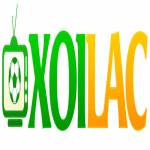 Xôi Lạc Profile Picture