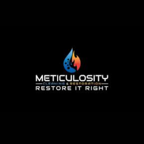 Meticulosity Cleaning Profile Picture