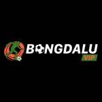 Bongdaluvip1 Net Profile Picture