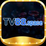 tv88 space Profile Picture