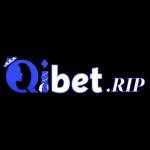 qibet điểm đến cá cược Profile Picture