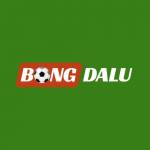 kqbdbongdalu1 Profile Picture