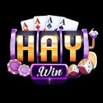 HAYWIN Profile Picture