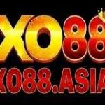 XO88 Profile Picture