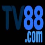 TV 88 Profile Picture