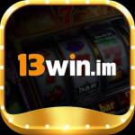 13win im Profile Picture