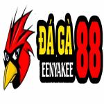 ĐÁ GÀ 88 Profile Picture