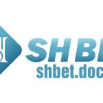 Shbet doctor Profile Picture