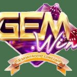 gemwinsuryaimport Profile Picture