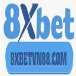 8XBET Profile Picture