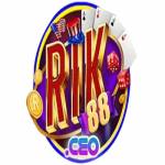 rik88 ceo Profile Picture