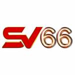 sv66 Profile Picture