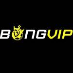 Nhà Cái BONGVIP Profile Picture