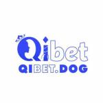 qibet dog Profile Picture