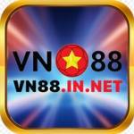 Vn In Net Profile Picture